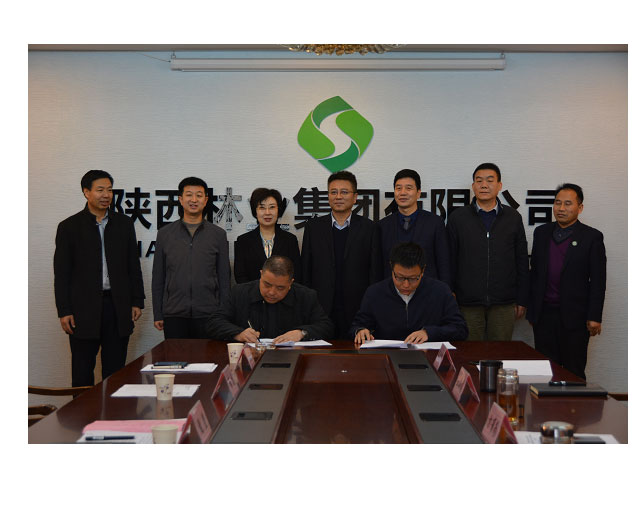 1591332612463882.jpg 00125.jpg