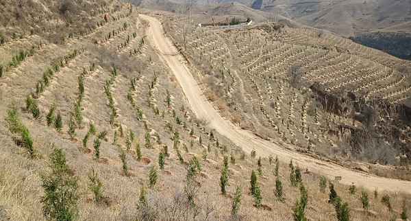 1649295820707313.png 圖片1.png